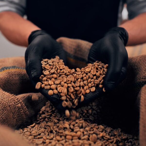human-takes-heap-roasted-coffee-beans-by-both-hands-from-bag-cropped-image